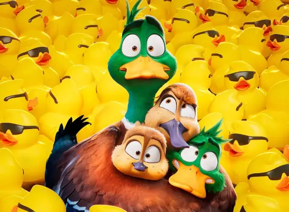 Migration Movie