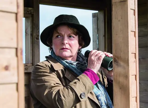 Vera 14 TV Series