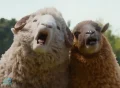 The Sheep Detectives Movie